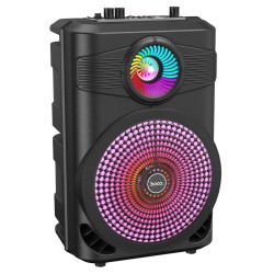 BS46 Mature Outdoor BT Speaker